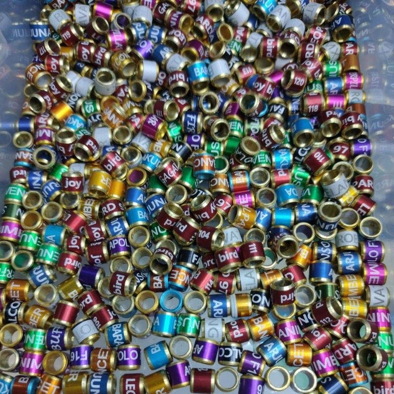 Jual Ring burung murai kenari kacer pented dll mk sampel sudah ada ...