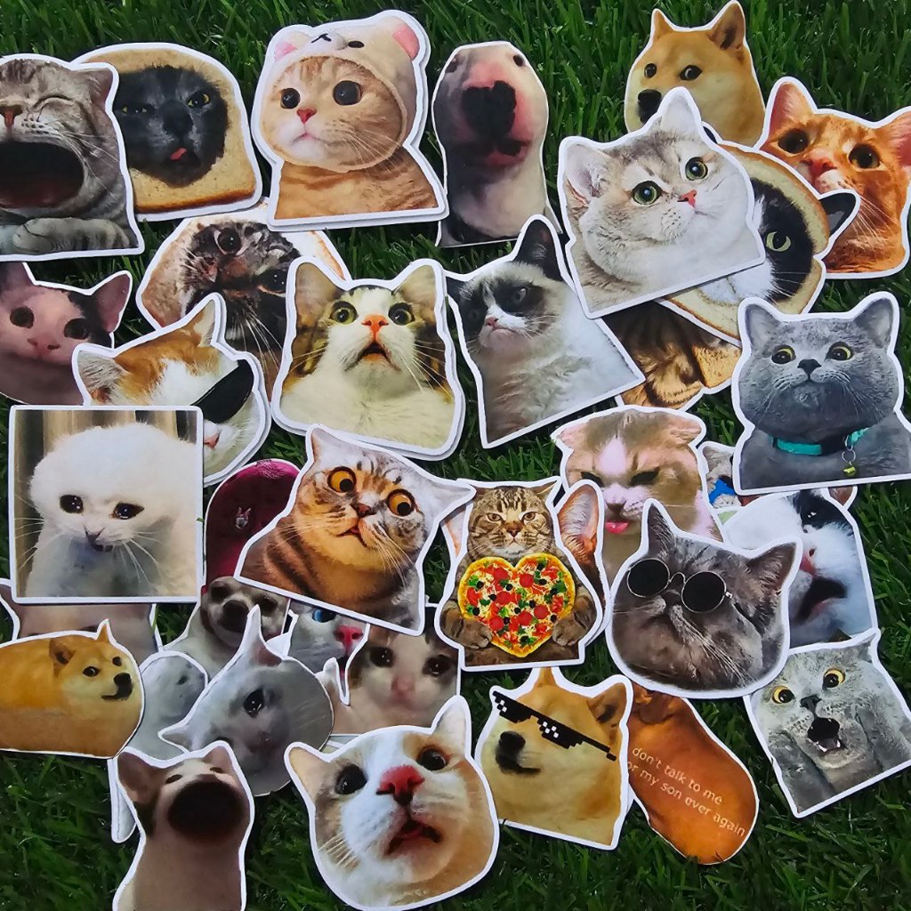 Jual 37 pcs stiker meme kucing sudah di potong die cut sticker pack ...