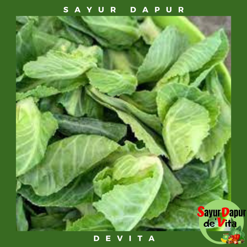 Jual Sayur Cuciwis, Keciwis, Siwil, Siwilan, Baby Kol, 250 gram ...