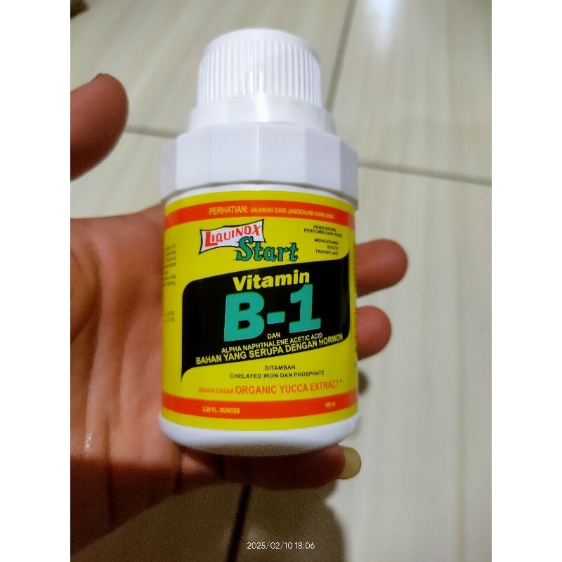 Jual Liquox Start Vitamin B-1 Dengan Acetan dan Hormon | Shopee Indonesia