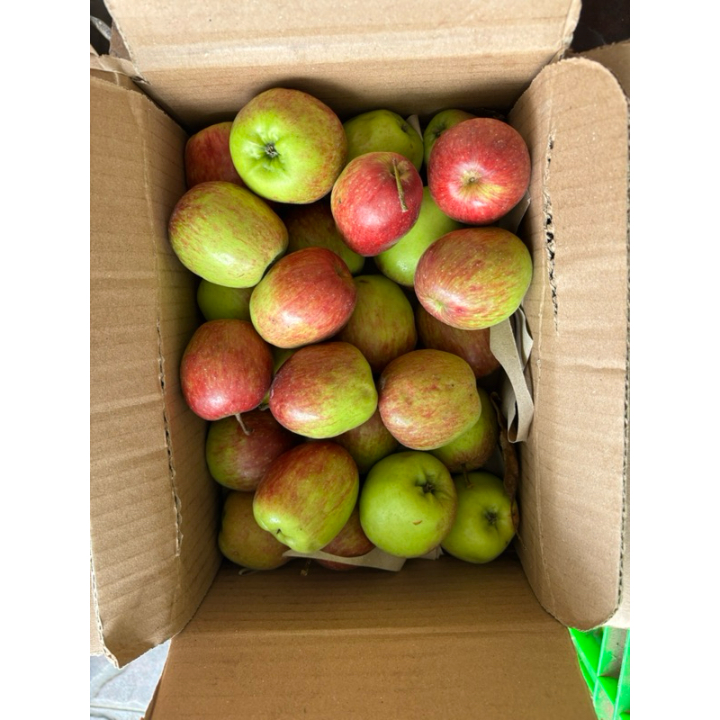 Jual Apel ana mini satu kilo isi 23-28 | Shopee Indonesia