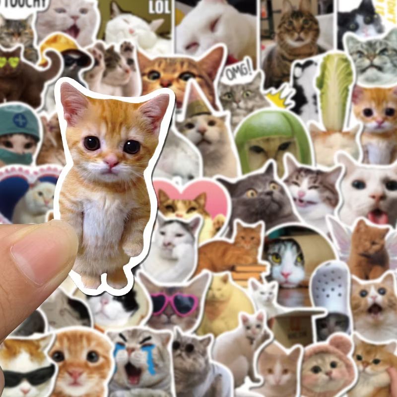 Jual Stiker Meme Kucing Lucu Tahan Air | Shopee Indonesia