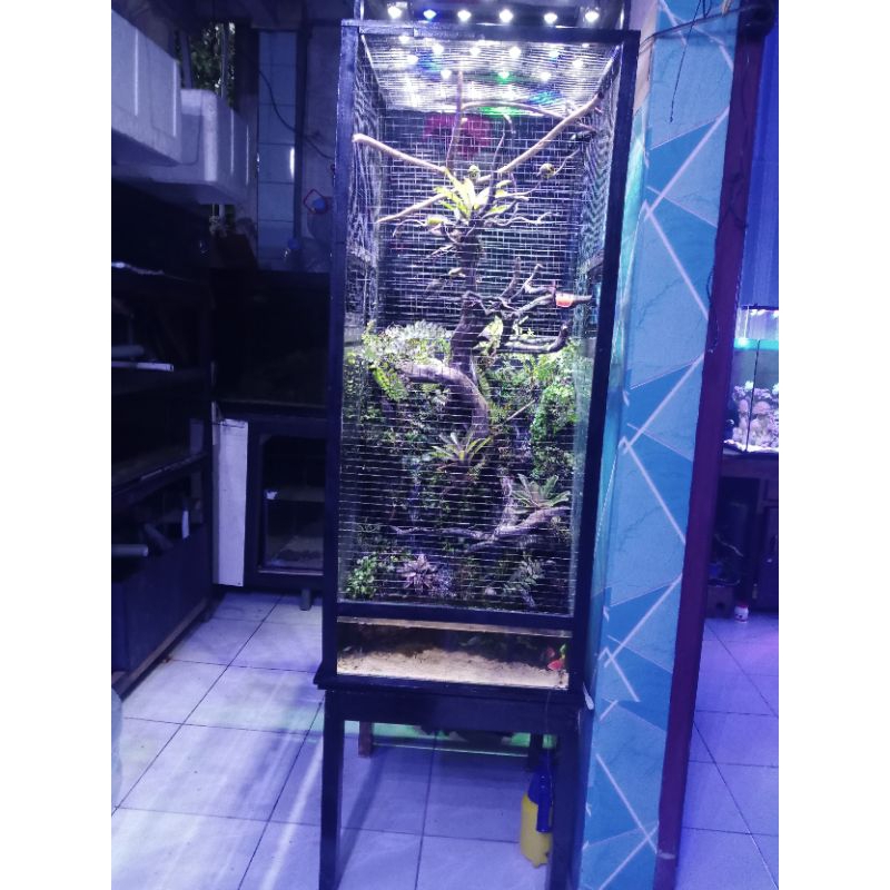Jual Aviary Mini Terlengkap & Harga Terbaru Juni 2026 | Shopee Indonesia