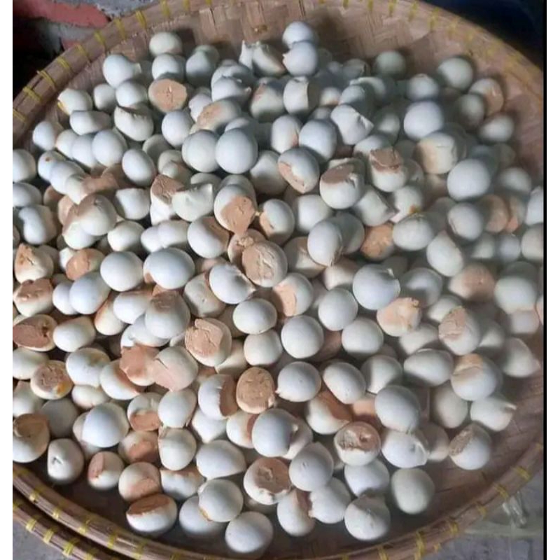Jual Nopia Terenak seBanyumas 500g | Shopee Indonesia