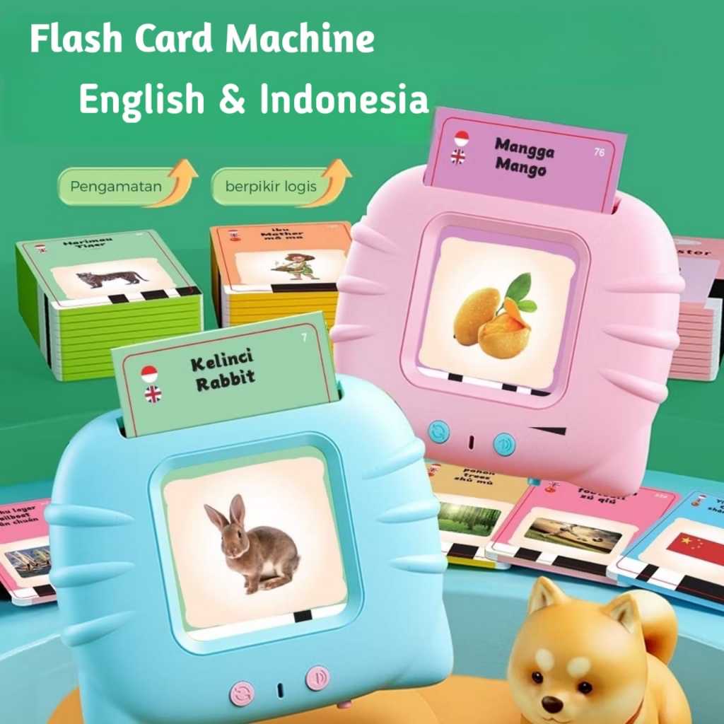Jual Audio Flash Card (224 foto) Indonesia+inggris / Mainan Edukasi ...
