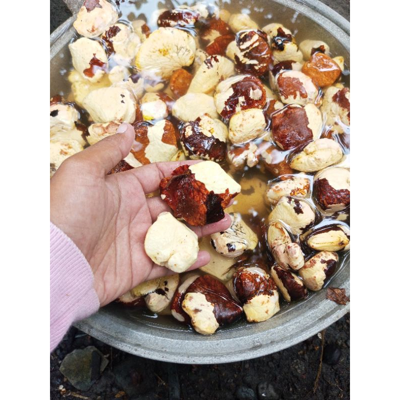 Jual Gayam 1 kg | Shopee Indonesia