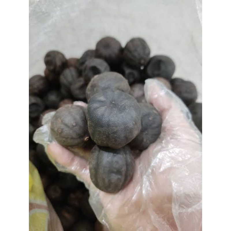 Jual JERUK HITAM ASLI SAUDI LEMON HITAM LEMON ASWAD 1KG | Shopee Indonesia