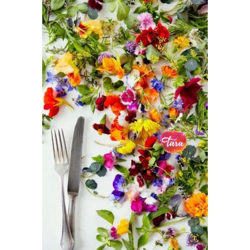 Jual Fresh Edible Organic flowers Mix/ Bunga Segar yang bisa dimakan ...