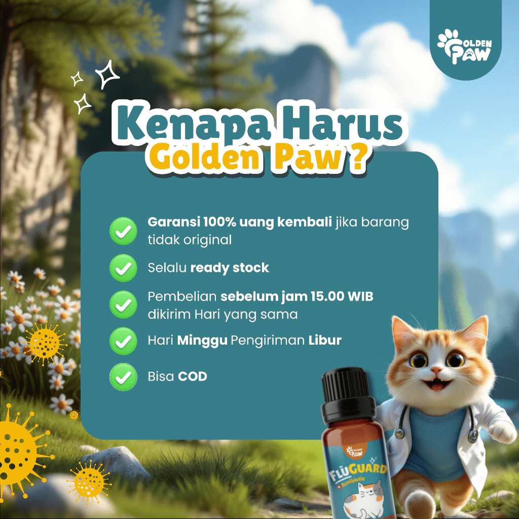 Kucing sehat setelah diberikan FLU-GUARD oleh Golden Paw