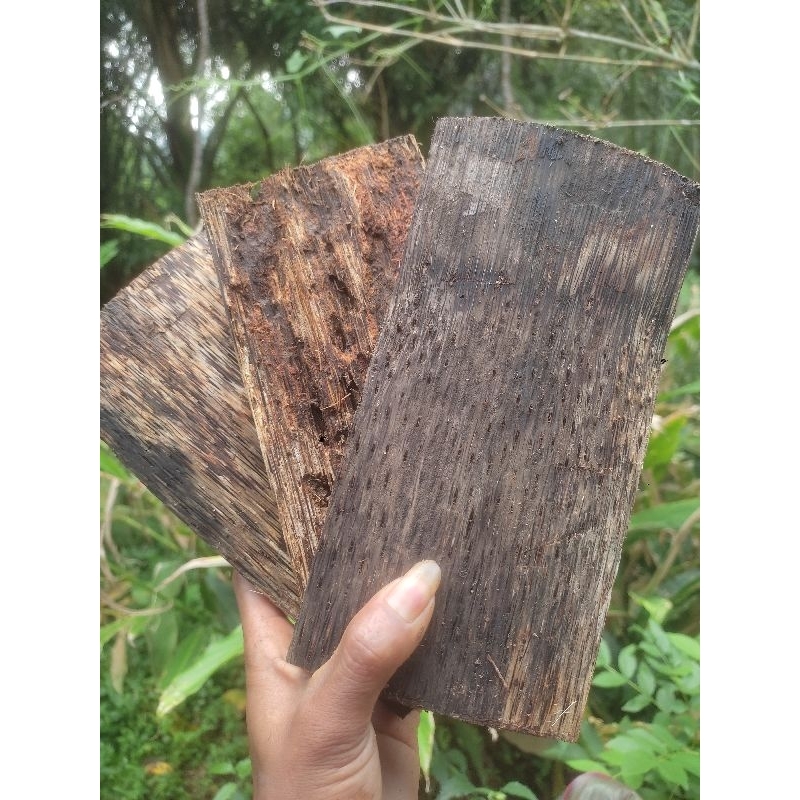 Jual Papan kayu aren media tanaman anggrek isi 6pcs ukuran 10-20cn ...