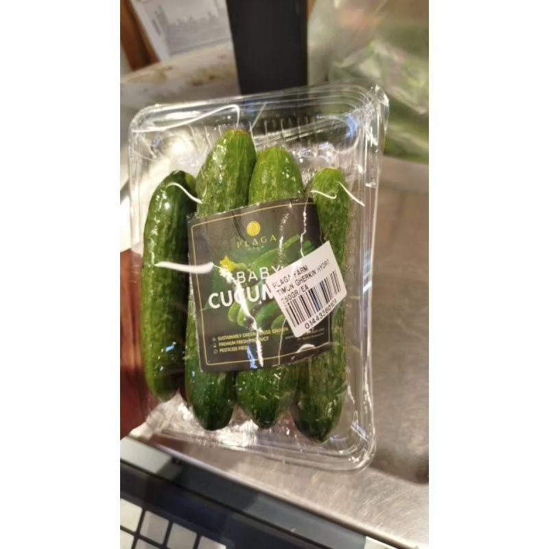Jual Timun baby cucumber mini pack 250 gram | Shopee Indonesia