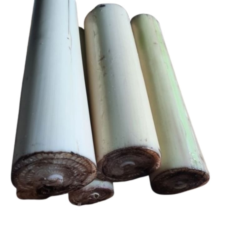 Jual gedebog pisang/batang pisang /banan stem/gedebog pelepah pisang ...