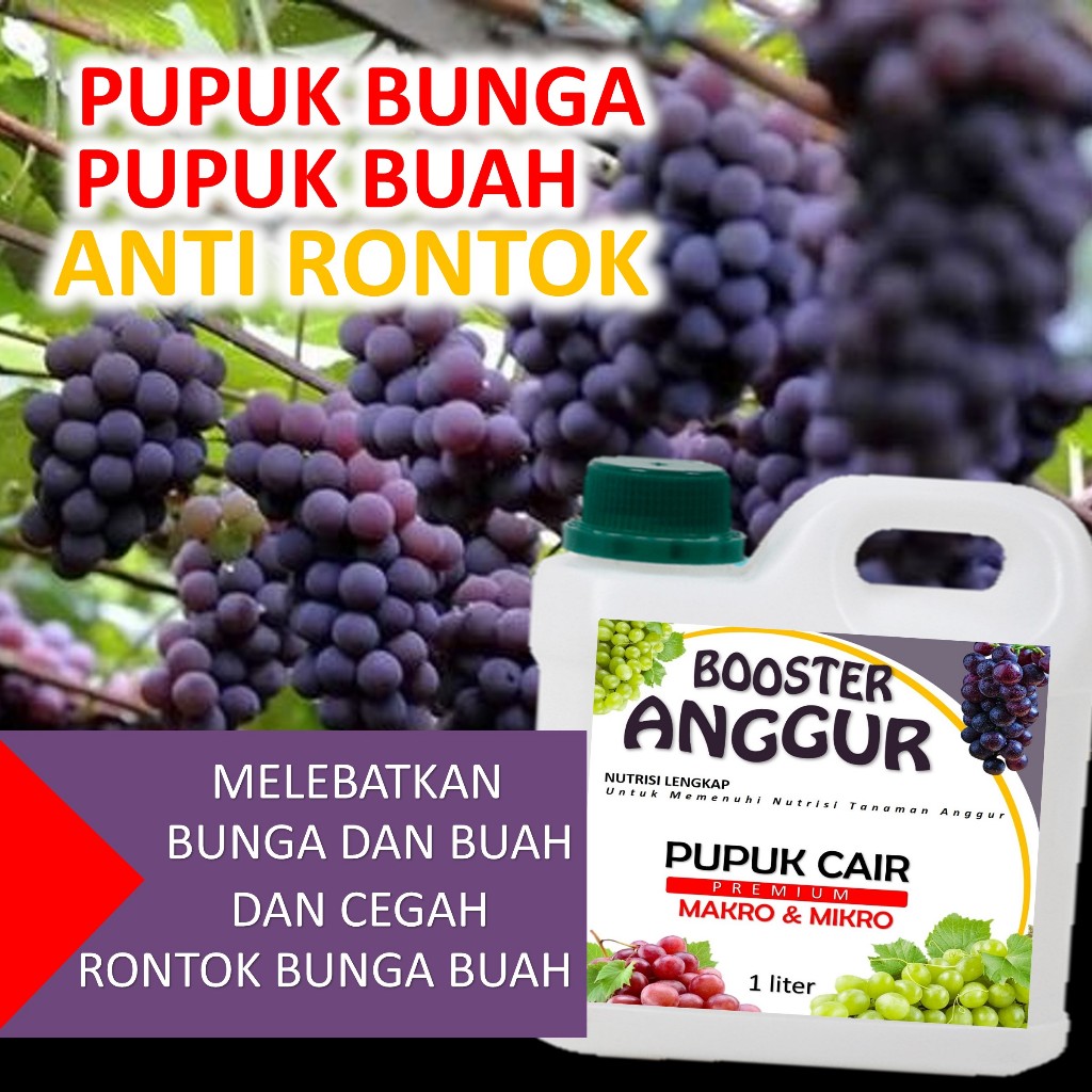 Jual Pupuk Buah Anggur Cair 1 liter Cepat Berbuah Melebatkan dan ...