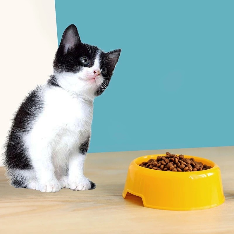 Jual Tempat Makan Kucing Mangkok Minum Hewan Lucu Mangkok Makan Hewan ...