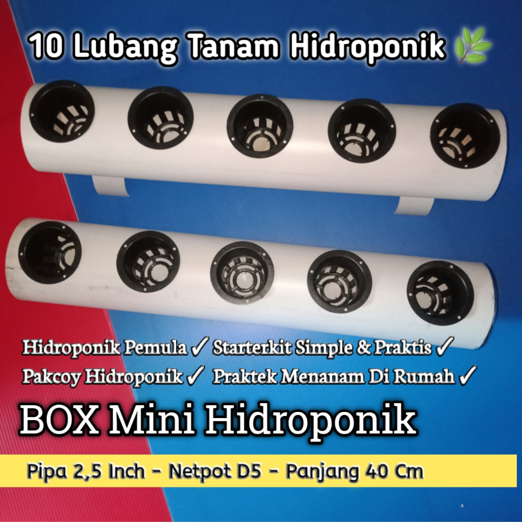 Jual 5 Lubang Tanam Pipa Box Minimalis Hidroponik starterkit | Shopee ...