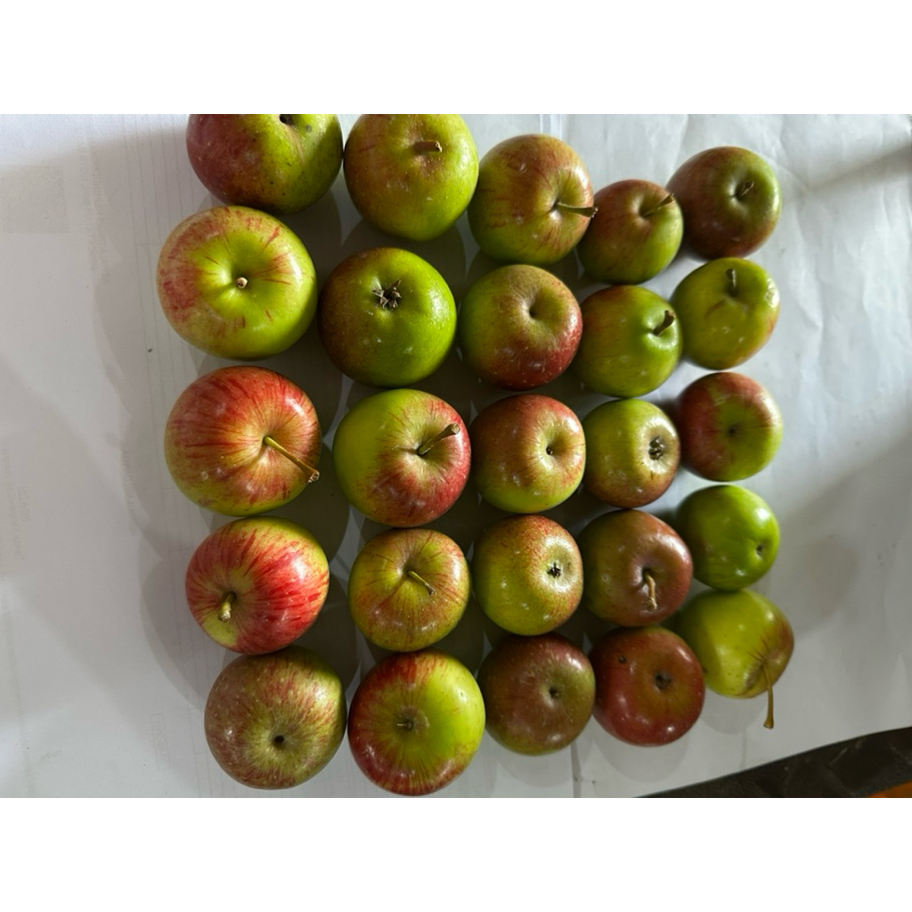 Jual Apel Rome Beauty Malang Mini ukuran 24-30 buah | Shopee Indonesia
