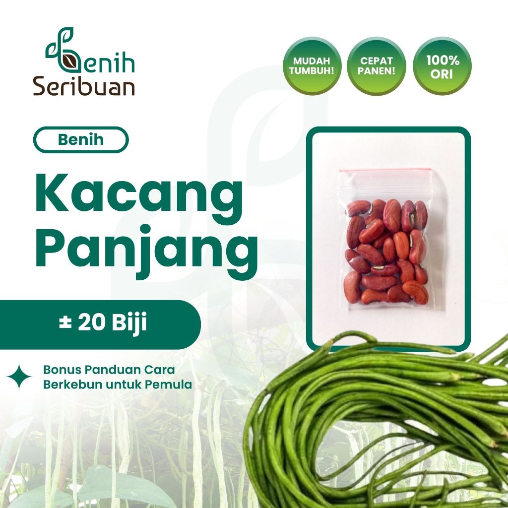 Jual Benih Seribuan - 20 Benih Sayuran Buah Kacang Panjang Unggul ...