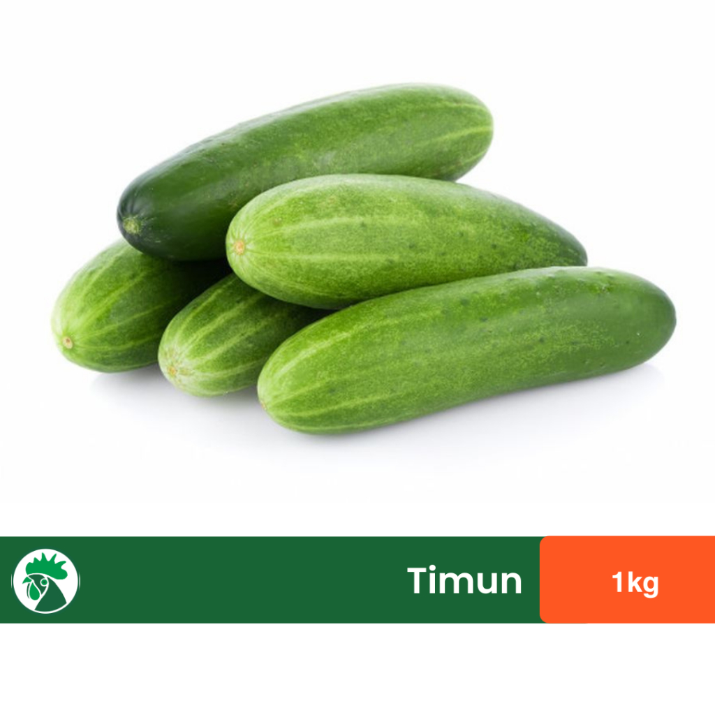 Jual Timun Lokal Segar | Mentimun Bulat | Shopee Indonesia