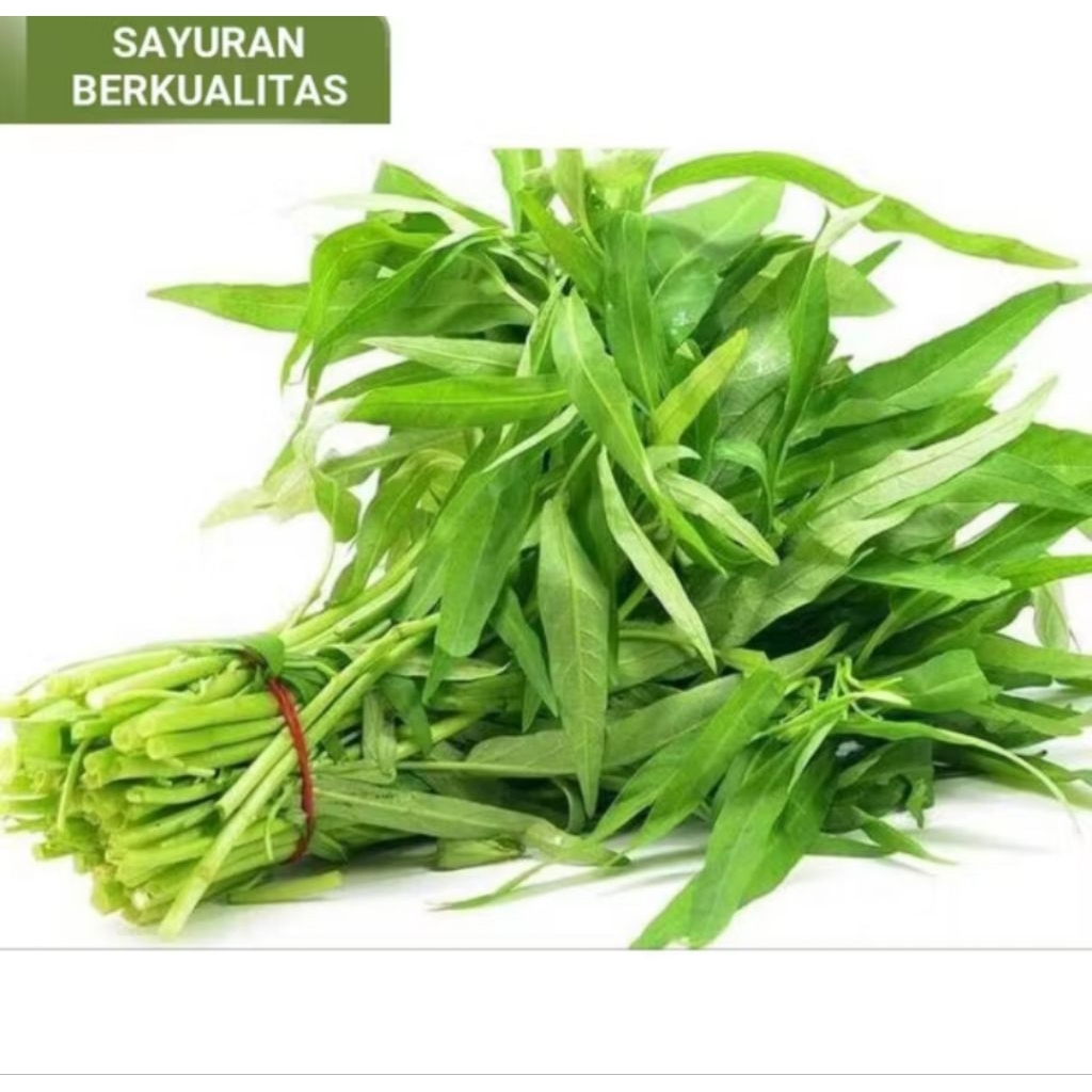 Jual sayur kakung segar | Shopee Indonesia
