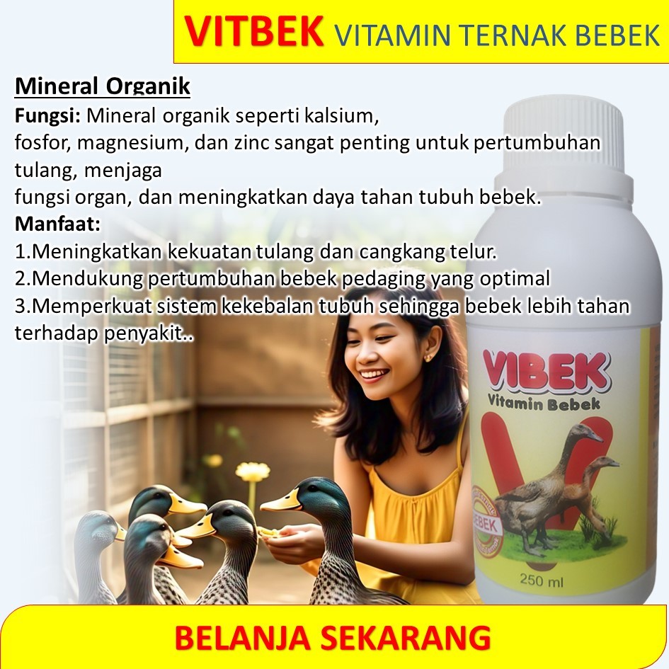 Jual VIBEK 250 ML ( VITAMIN BEBEK ) / VITAMIN TERNAK BEBEK PETELUR DAN ...