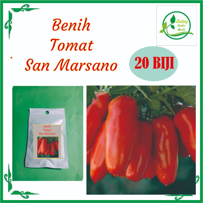 BENIH TOMAT SAN MARSANO ISI 20 BIJI
