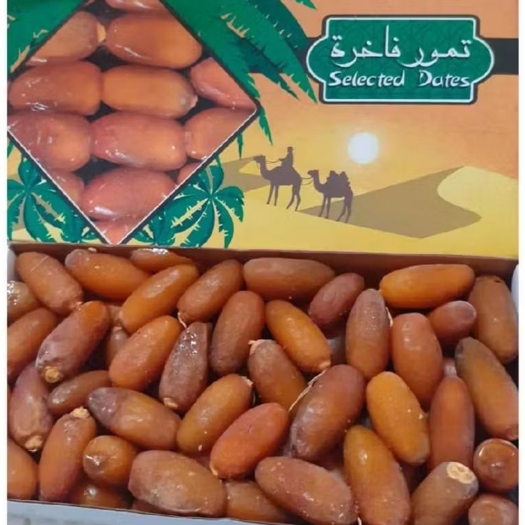 Jual Kurma Muda Ruthab Libya 1Kg Fresh Ruthob Luxury Dates / kurma ...