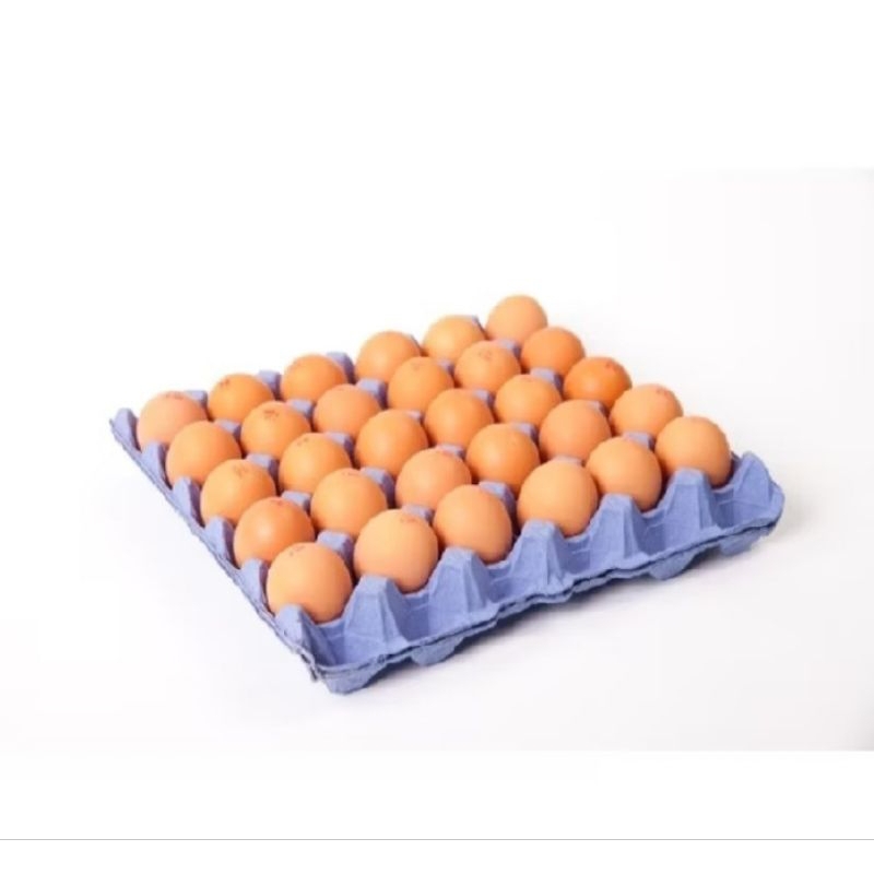 Jual Telur Ayam 1 Rak | Shopee Indonesia
