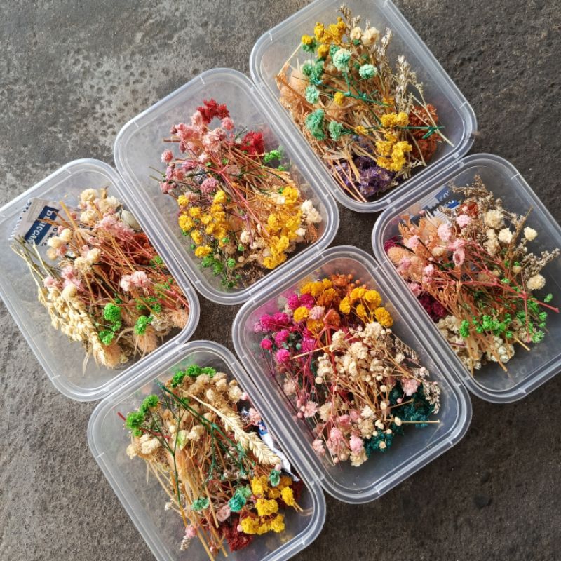 Jual bunga resin bunga kering untuk DIY resin | Shopee Indonesia