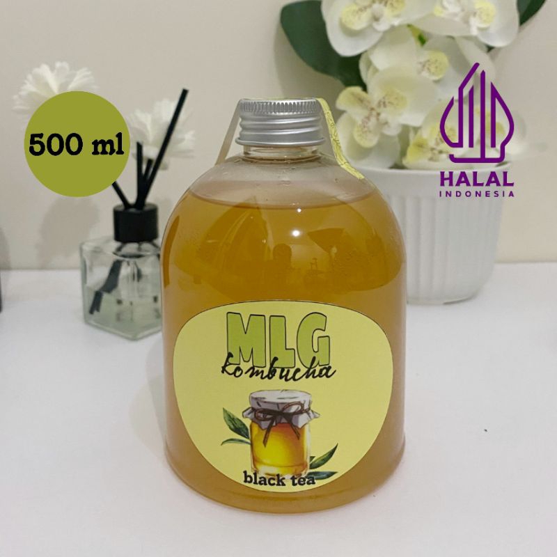 Jual MALACHA | Malang Kombucha Original Black Tea 500ml | Shopee Indonesia
