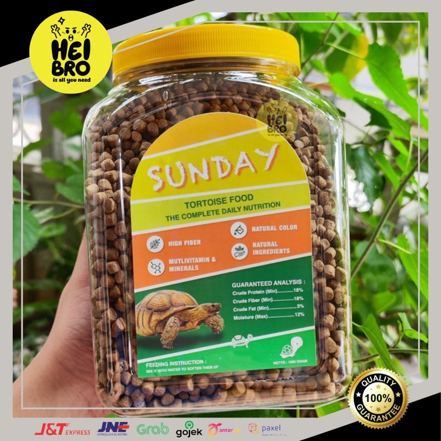 Jual 1 KG SUNDAY TORTOISE FOOD 1KG PELET KURA DARAT MAKANAN KURA ...