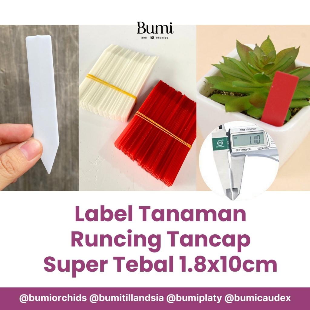 Jual BUMI ORCHIDS Label Tanaman Runcing Tusuk SUPER TEBAL 1.8x10cm ...