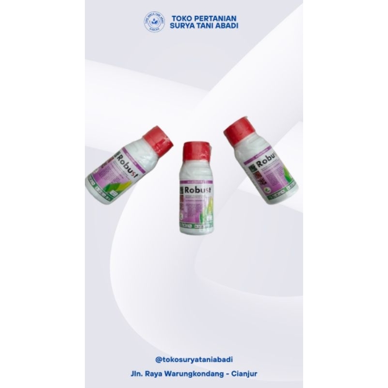 Jual Robust 100 ml | Shopee Indonesia