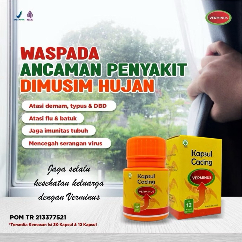 Jual Kapsul Ekstrak Cacing Verminus isi 30 Kapsul Obat DEMAM TYPUS DBD ...
