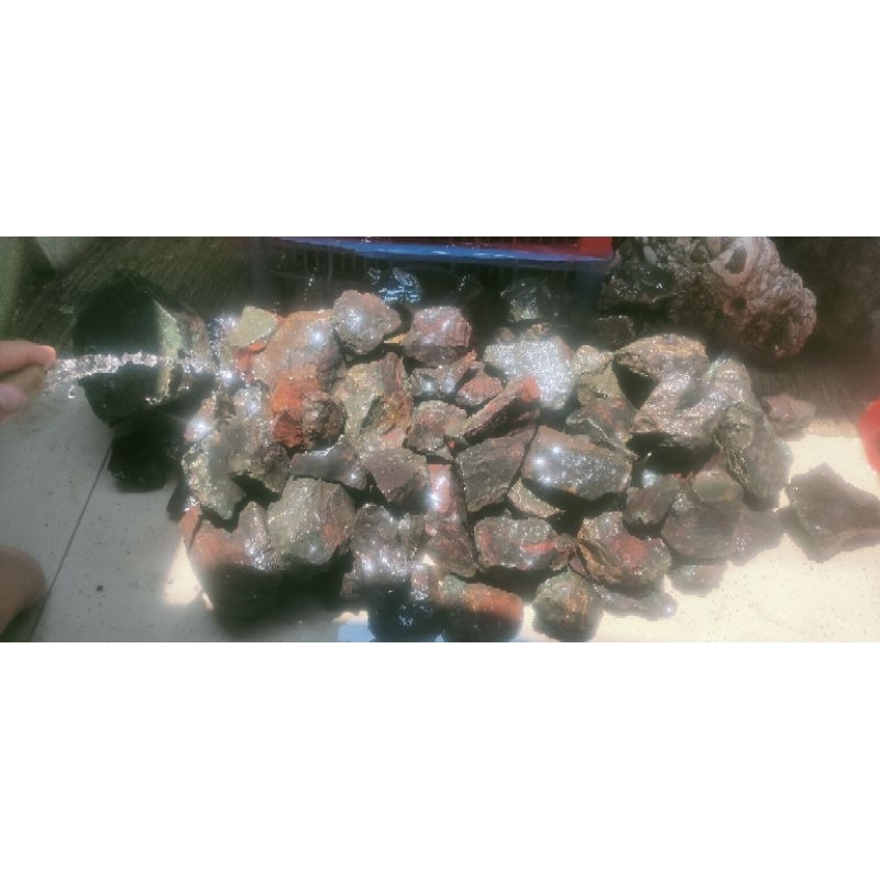 Jual badar besi (1/2kg) | Shopee Indonesia