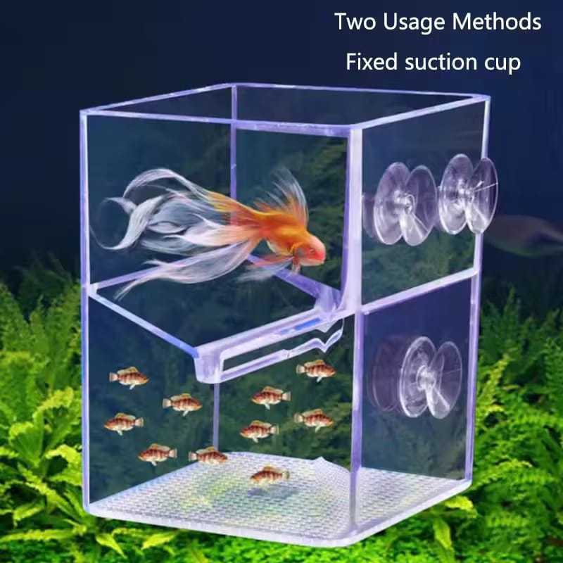 Jual Breeding Box / Karantina Ikan Guppy Platy Swordtail Kualitas ...