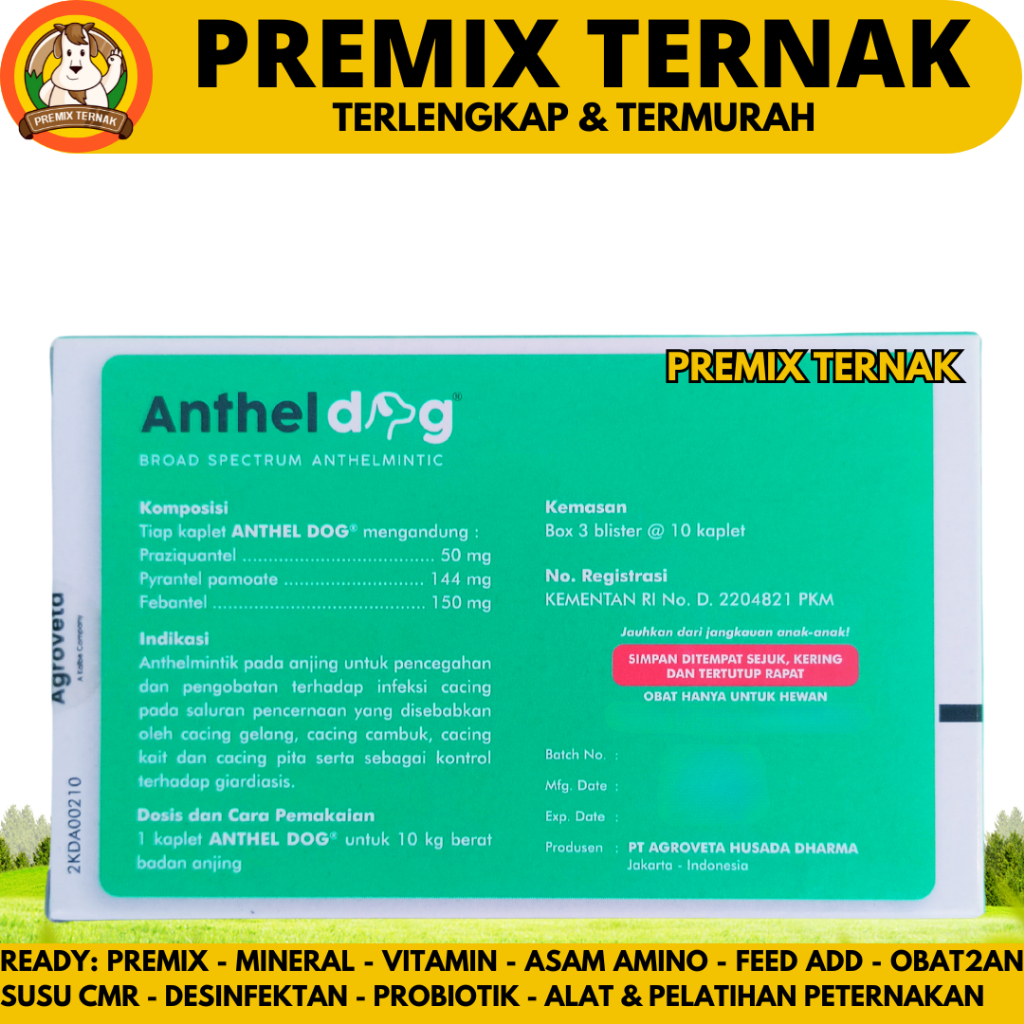 Jual ANTHEL DOG 1 TABLET (KEMASAN BLISTER) - Obat Cacing Anjing Ampuh ...