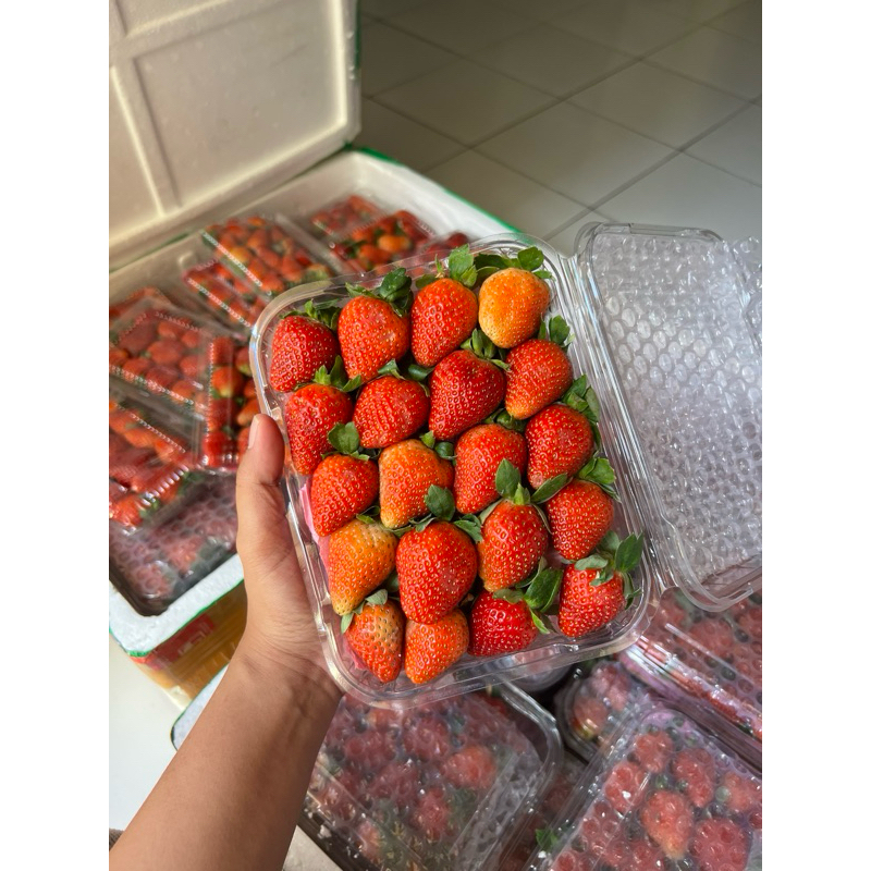 Jual Strawberry 500gr Grade AB (Besar campur sedang) | Shopee Indonesia