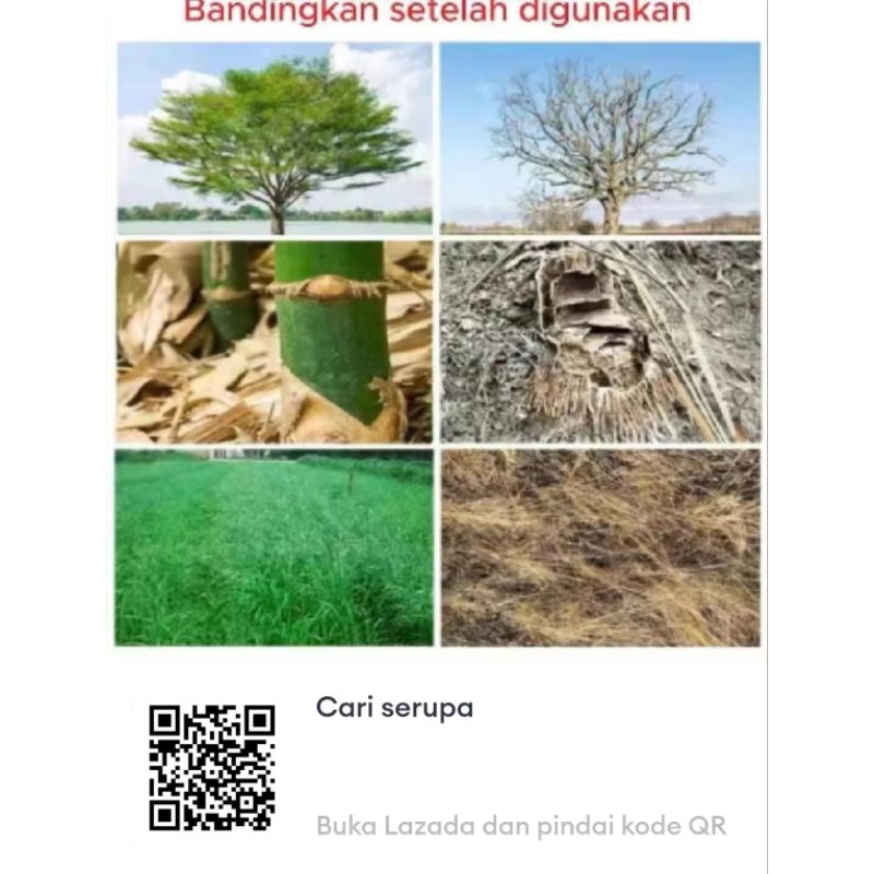Jual [BELI 1 GRATIS 1] Tree Killer herbisida untuk menghilangkan gulma ...