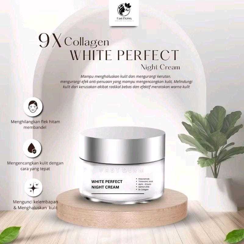 Jual Fast Derm White Perfect Night Cream 10GR | Shopee Indonesia