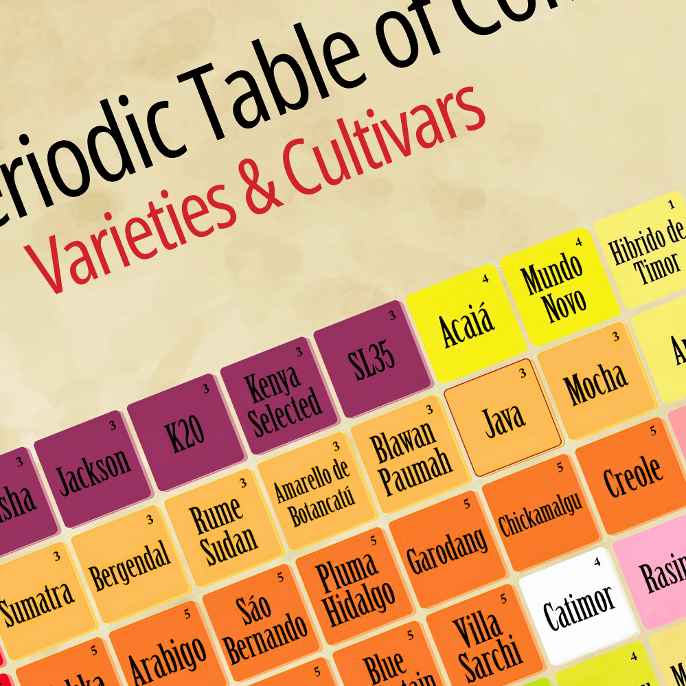 Jual Specialty Coffee Periodic Table Chart A2 — Global Coffee Varieties ...