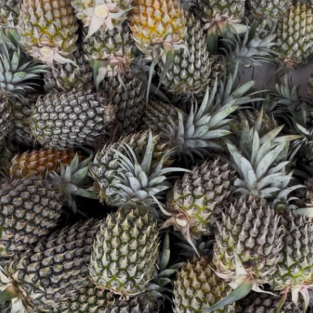 Nanas Khas Blitar