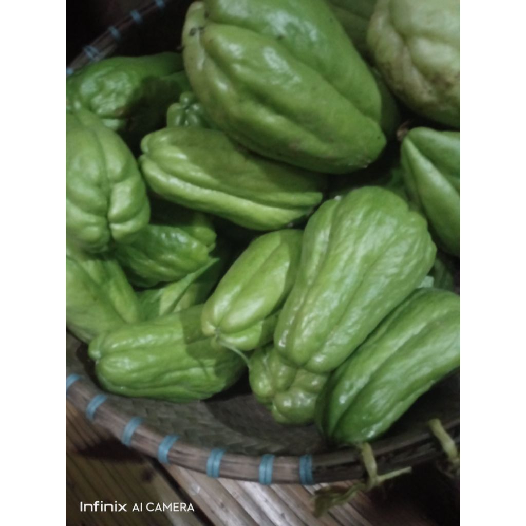 Jual labu Siam segar jumbo 1 kg muat 2-3 biji | Shopee Indonesia