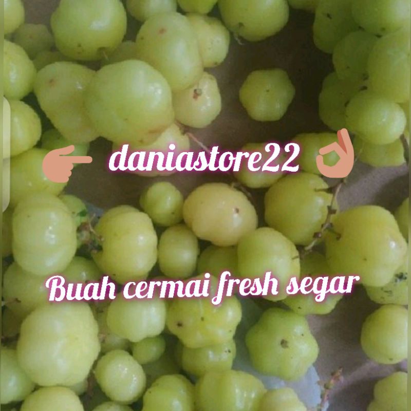 jual-buah-cermai-500-gram-shopee-indonesia