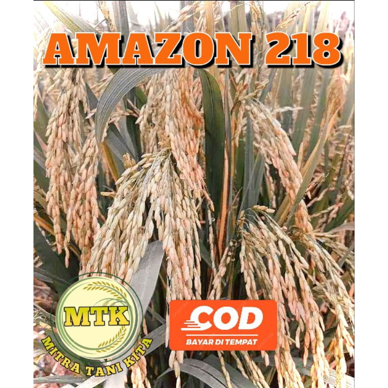 Jual BENIH PADI AMAZON 218 TERBARU KEMASAN 5KG | Shopee Indonesia