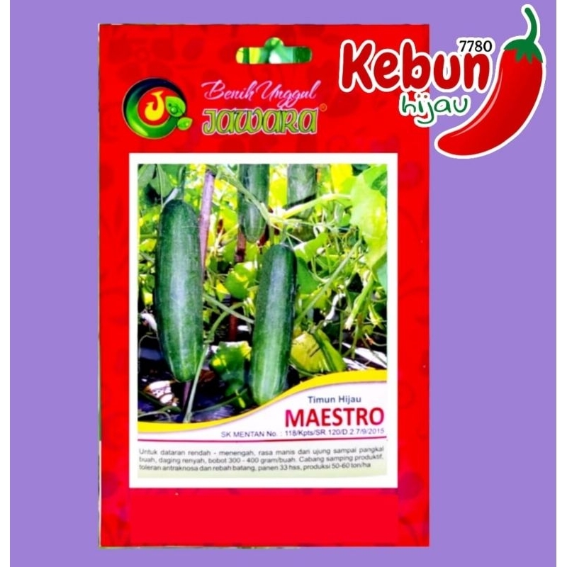 benih timun hijau lalap maestro 5 gr +- 250 biji