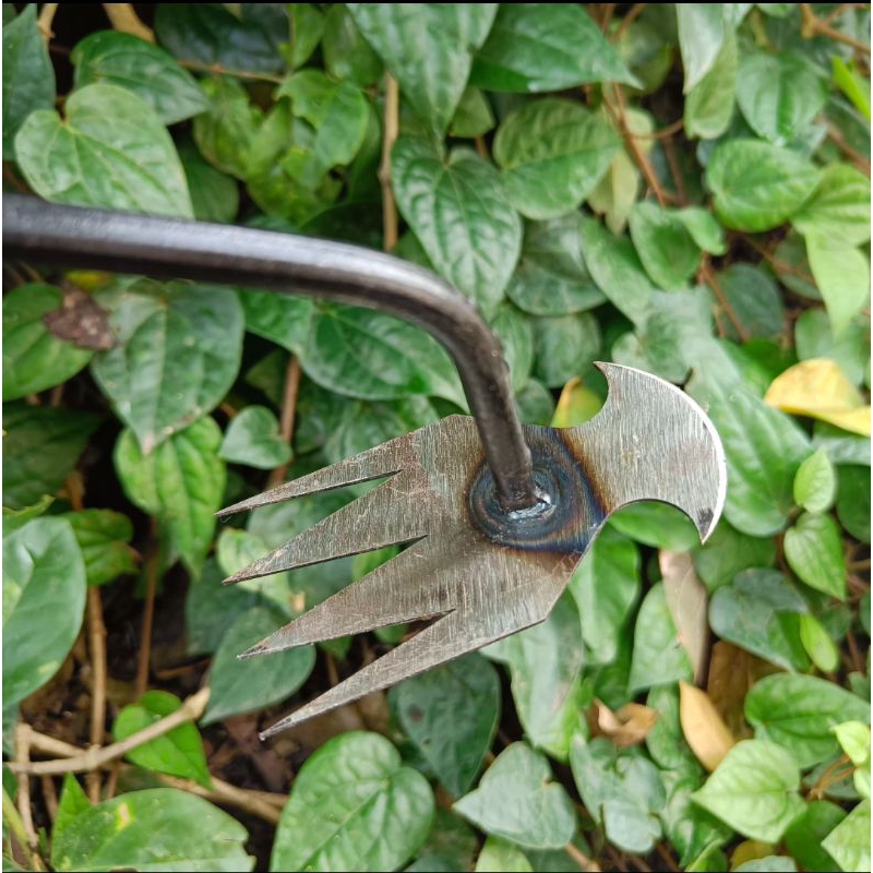 Jual Alat Pencabut Rumput Digunakan Di Rumah Pencabut Rumput Paving ...