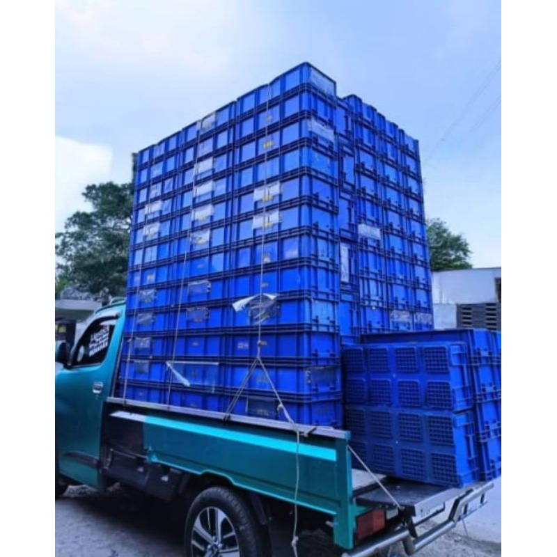 Jual box container rabbit 6655 size 67x33x20,cm bekas ready 3 warna ...