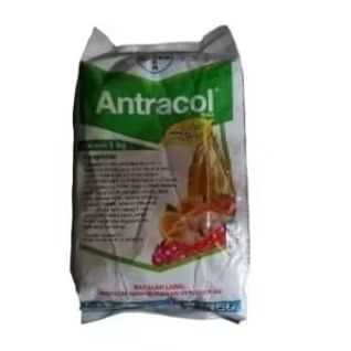 Fungisida Antracol 70 WP, 1 Kilogram
