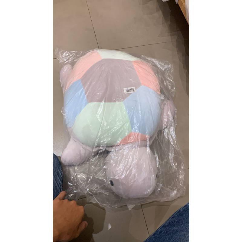 Jual Miniso Turtle Plush Big Size 65cm | Shopee Indonesia