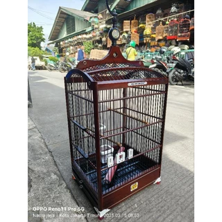 Qora ayollar klitorislarining fotosuratlari